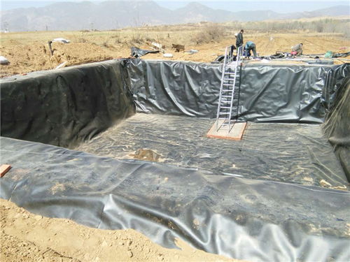 儒風土工材料 優質0.8mm土工膜與針刺地毯供應商